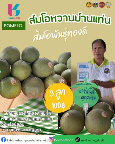 สพอ.บ้านแท่น : ขับเคลื่อน "Click ชุมชน" สู่โลกดิจิทัล! 🔹